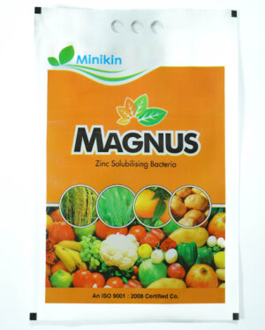MAGNUS