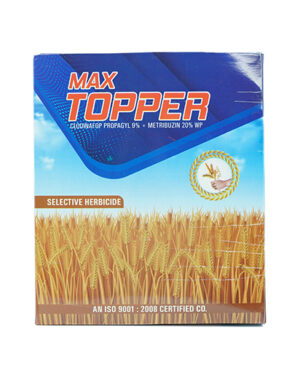 MAX TOPPER