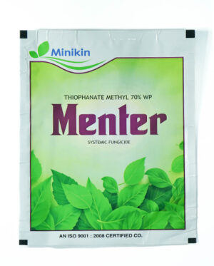 MENTER