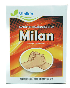 MILAN