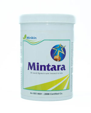 MINTARA