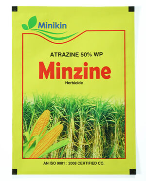 MINZINE