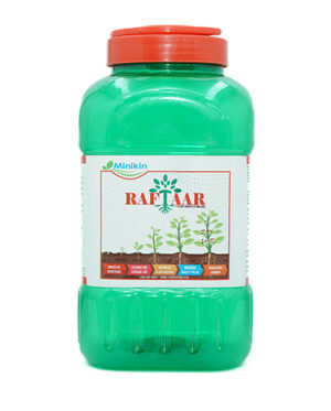 RAFTAAR