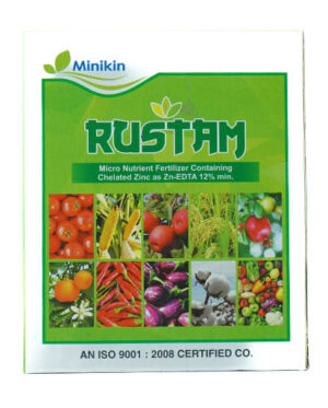 RUSTAM