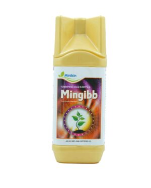 MINGIBB