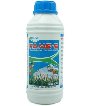 FAME-5