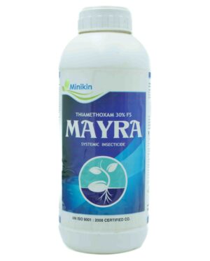 MAYRA