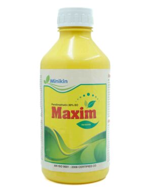 MAXIM
