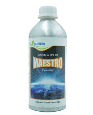MAESTRO