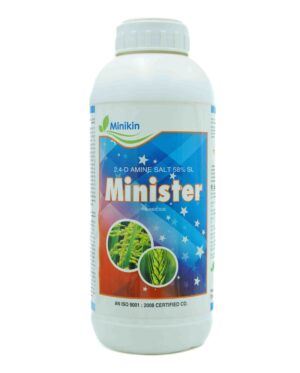 MINISTER