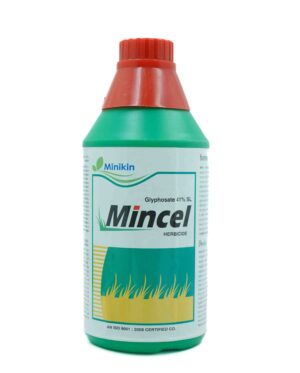 MINCEL
