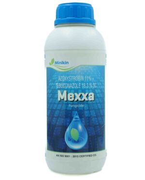 MEXXA