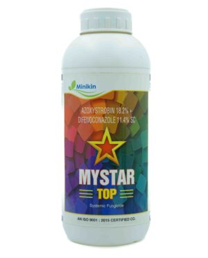 Mystar Top