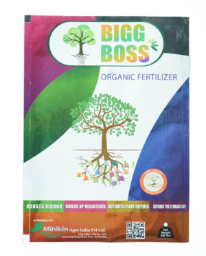 BIG BOSS